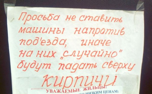 Прикольные картинки