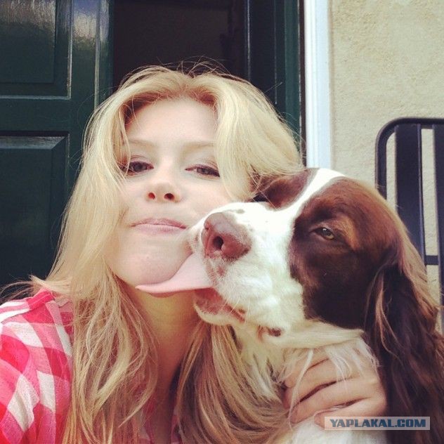 Собакочетверг