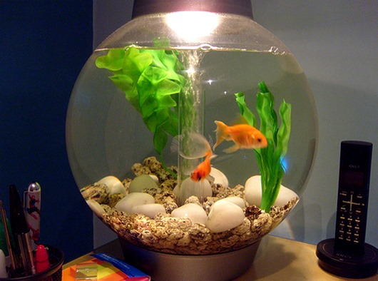 Факты, в которые сложно поверить