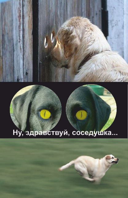 Я все вижу