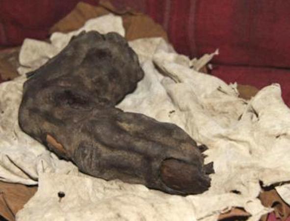 Рука Мумии найдена в Перу