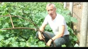 Вот почему проиграли...