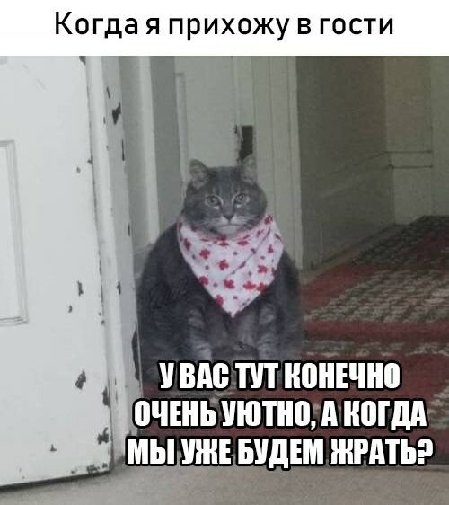 Нестандартный юмор