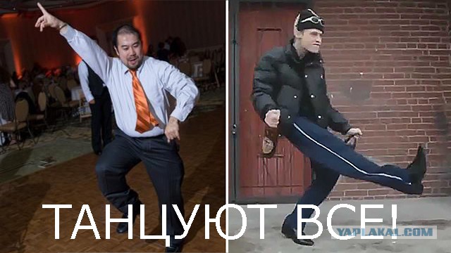 Мало извилин