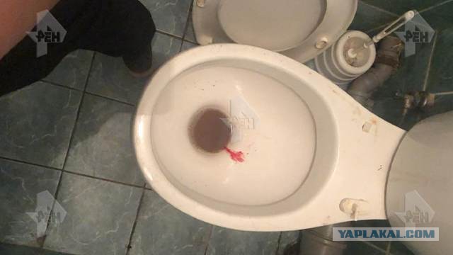 Куда наш мир катится?
