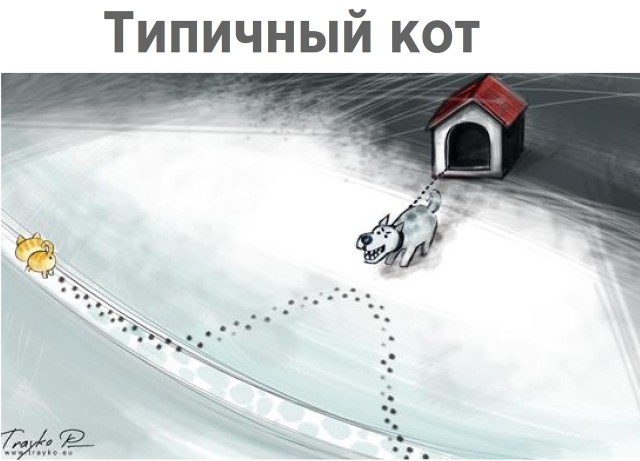 Доказательства, кошки - самые противоречивые создания на планете