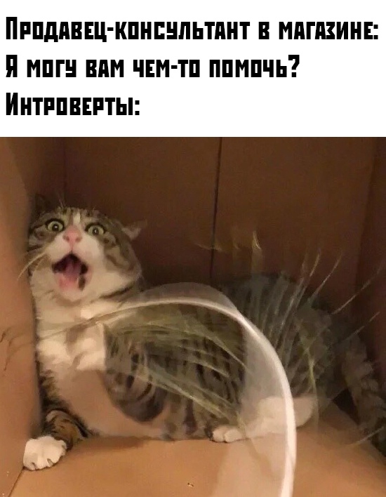 Немного картинок с надписями и без - 25