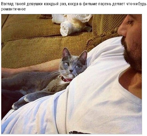 Смотрим, читаем, улыбаемся
