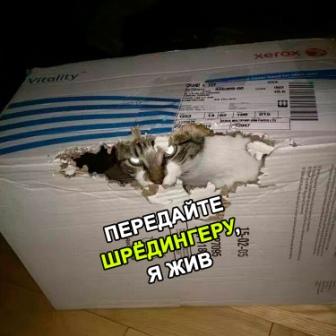 Немного картинок с надписями и без - 32