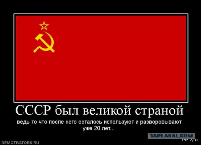 Сталин в цвете