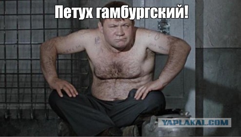 Дедушка жжет при ДТП дочи: Вы должны предотвратить предполагаемое ДТП