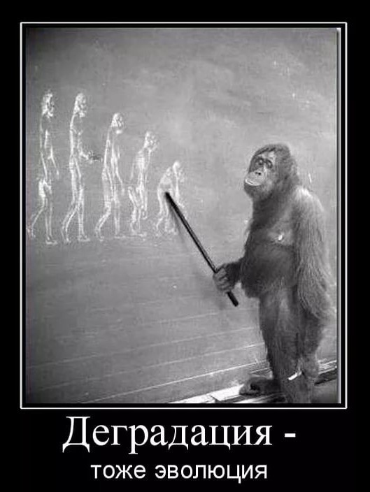 Капец зумеры умные