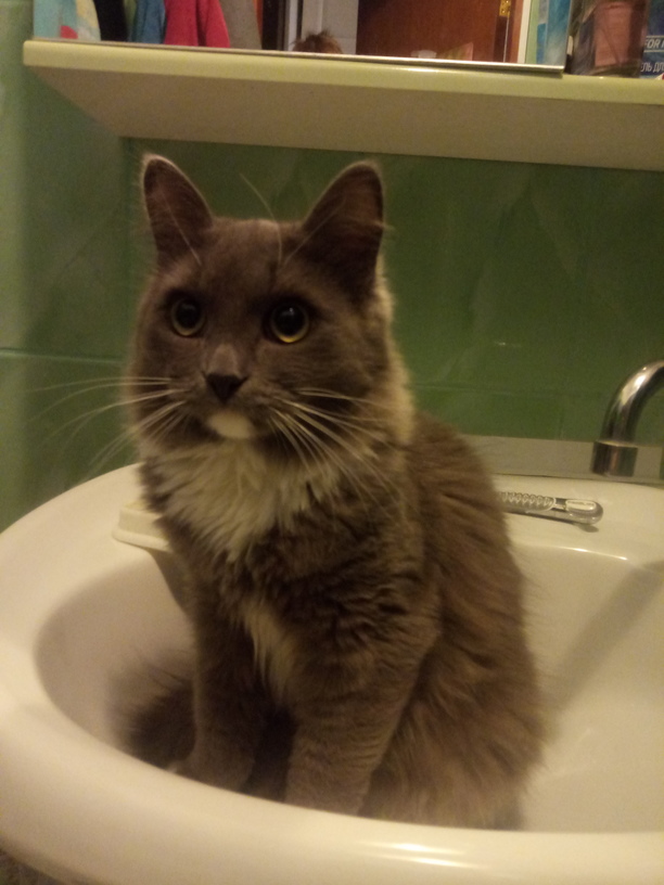 Вторник. Котэ. Пора
