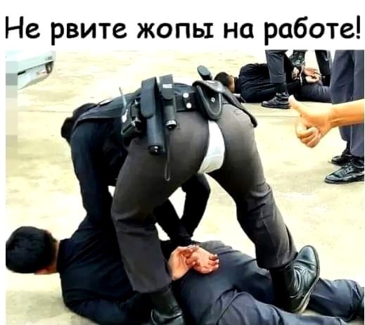 Весёлый полтишок 28.03.22