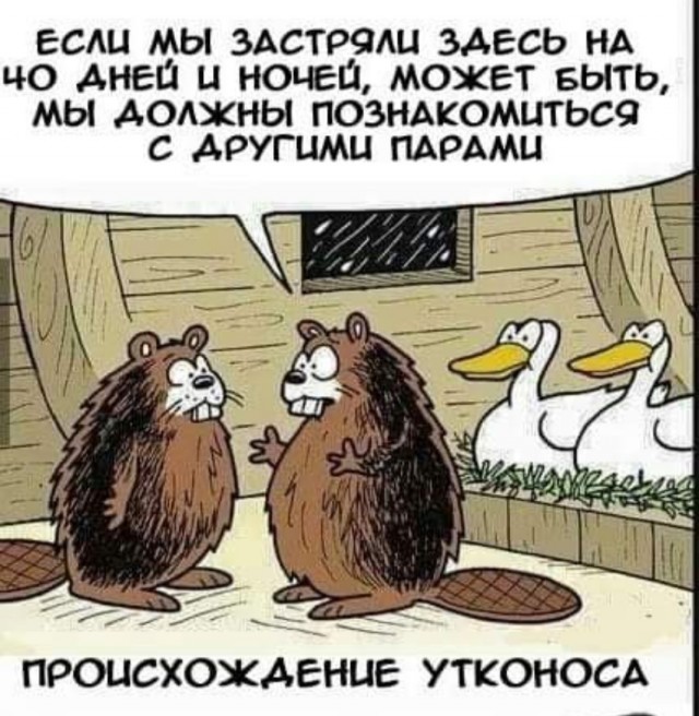 Весёлый полтишок 01.04