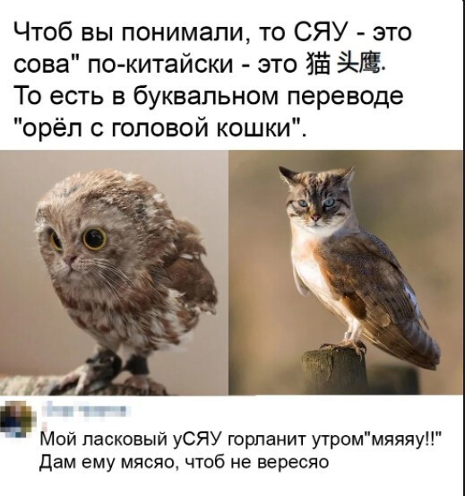 Баянисто-небаянистый юмор 7.04.22
