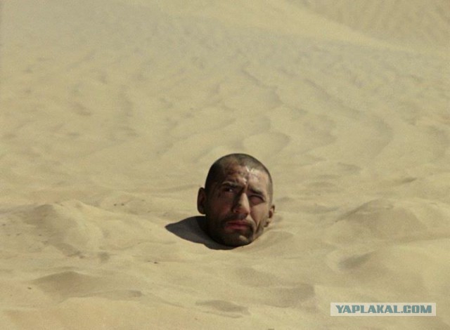 Работники сочинского пляжа "Фрегат" избили самбиста из Минска