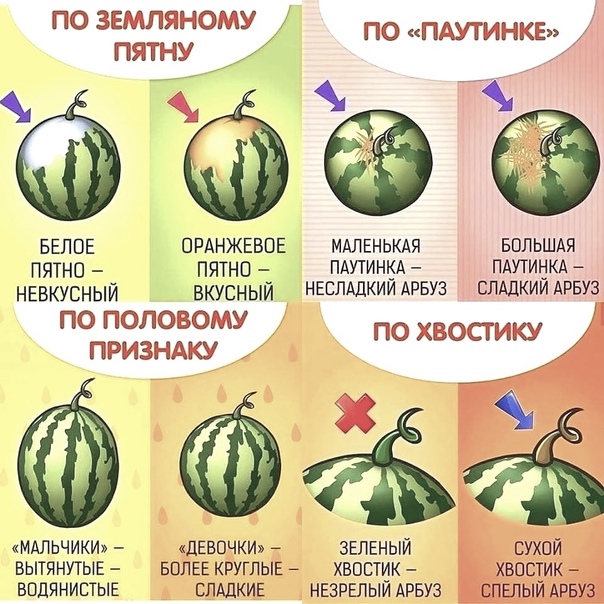 Как вы выбираете арбузы?