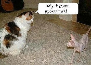 Юмор в картинках и без