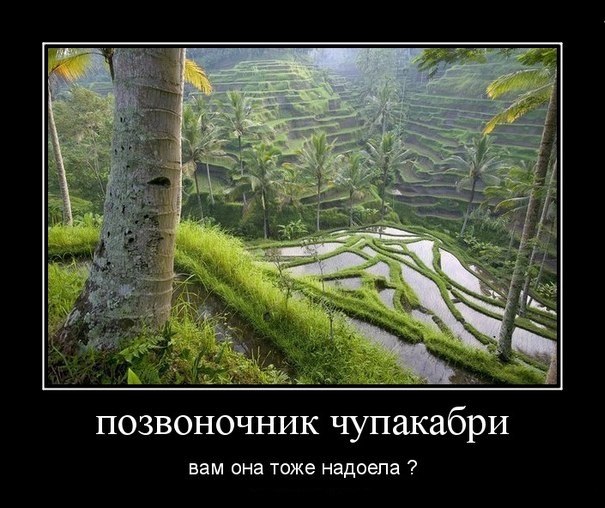 Wargaming 2