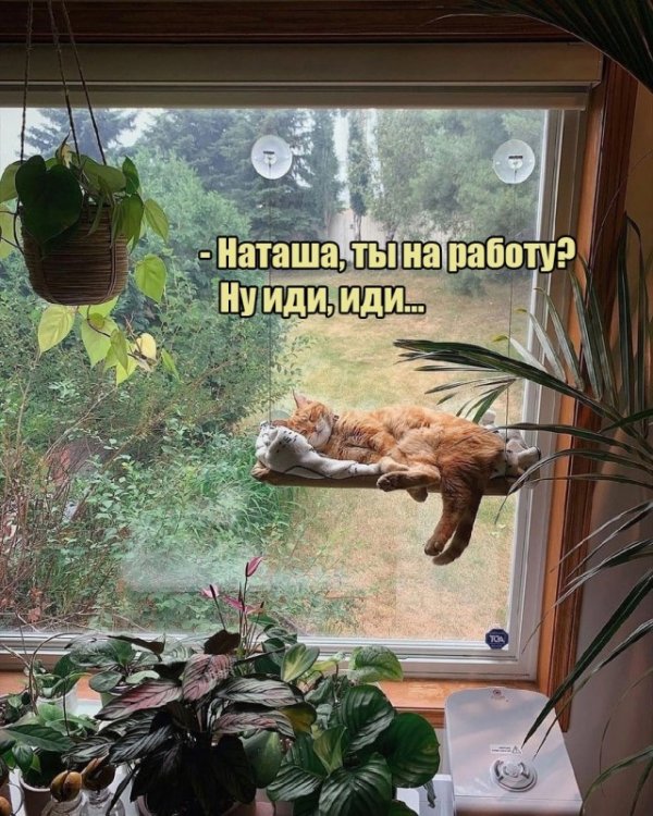Прикольные и просто красивые картинки 18.11.2022