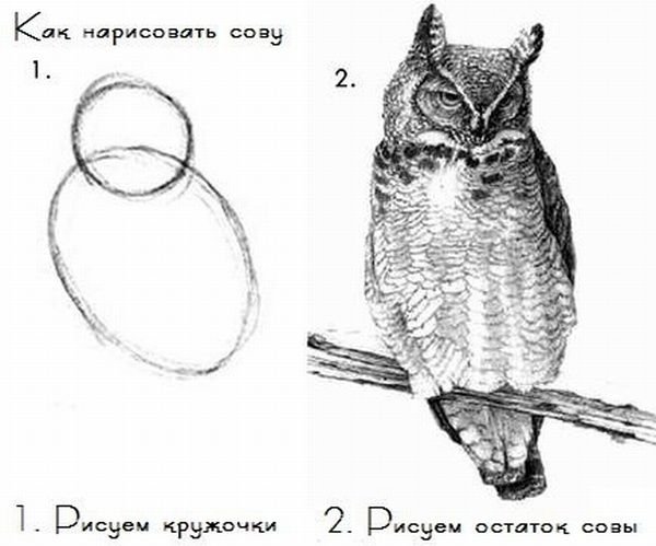 Мангуст 12150