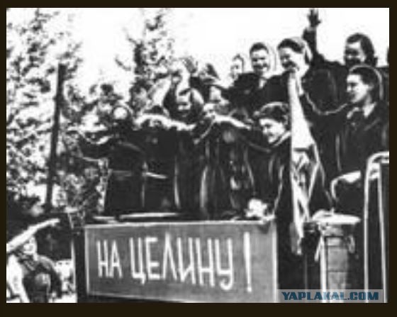 Уехавшие из России во время мобилизации «колобки» должны вернуться и начать осваивать пустующие сельскохозяйственные земли
