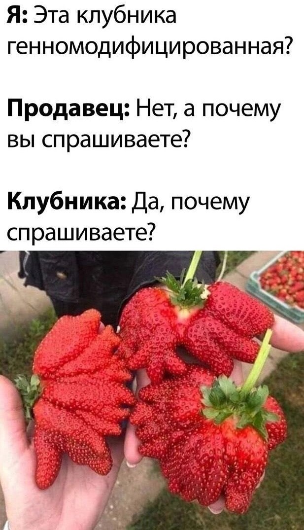 Нуштош 01.07.2023
