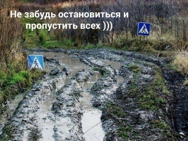 Так себе картинки 02.11.23