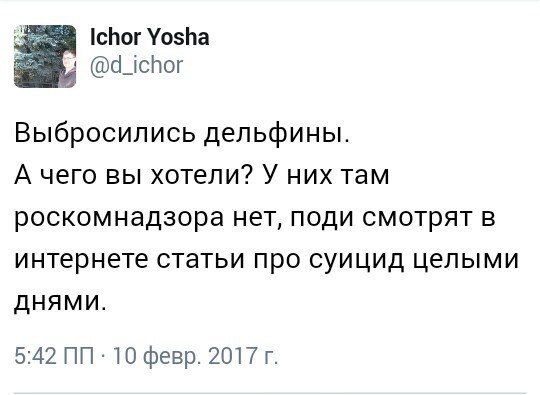 Бояны 6-ти летней выдержки