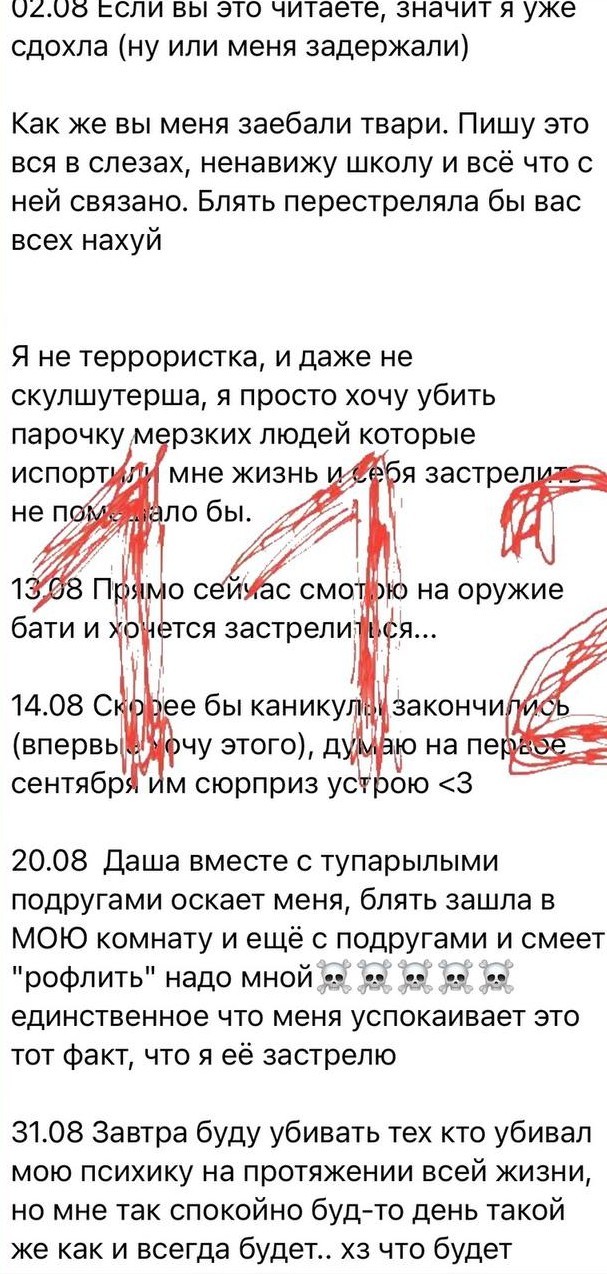 Глава охранявшей брянскую школу ЧОО назвал причину несработавших металлоискателей