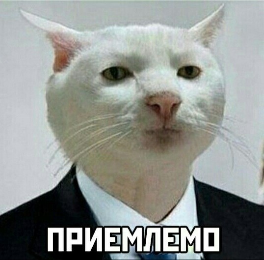 Кадыров призвал к кровной мести после терактов в Дагестане: «Убьем всех — отца, брата, дядю»