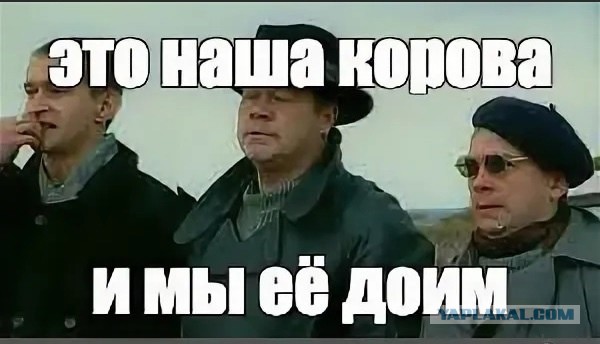 Битва за Wildberries официально объявляется открытой!