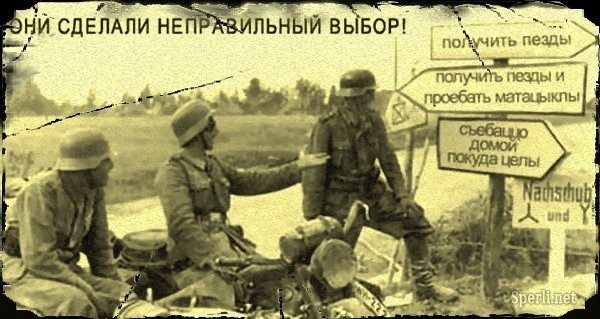 Пора деградировать. Дичь