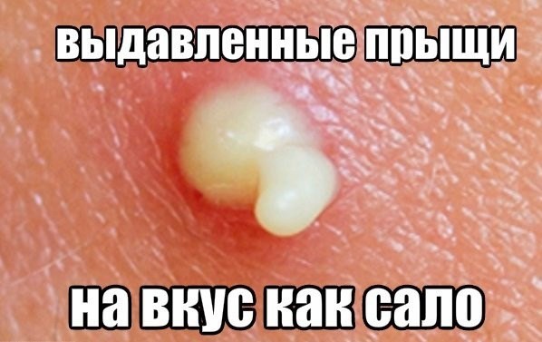 Пятничные 100м2 дичи