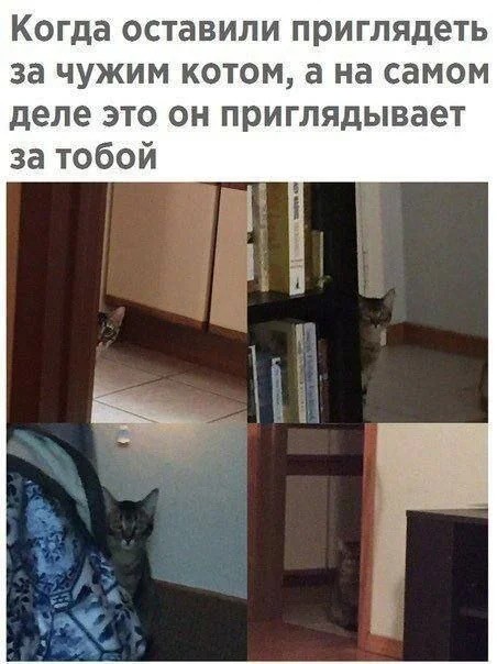 Пятницы картинки