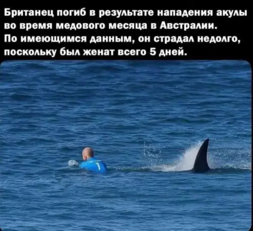 Картиночки, баянчики 23 февраля