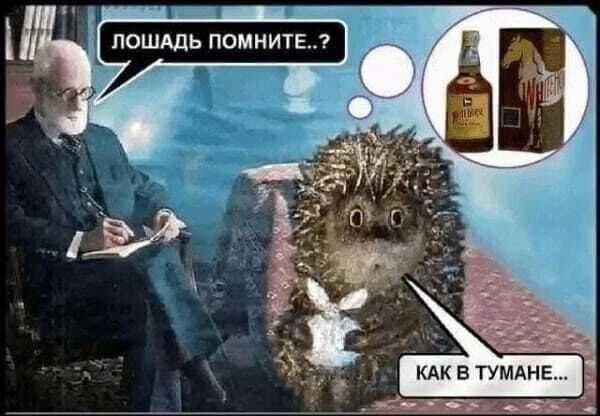 Картинки для деградации 171 (разной степени свежести)