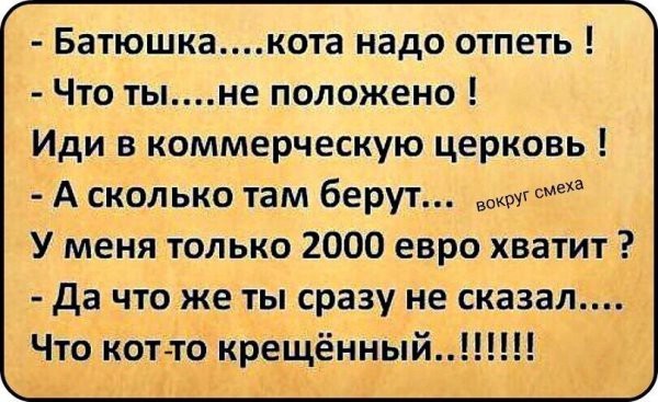 В Севастополе батюшка освятил котика
