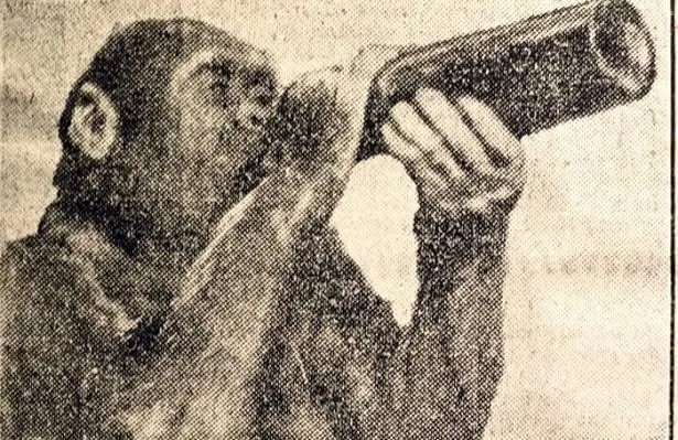 «Почти человек»: Трагическая история самого воспитанного примата