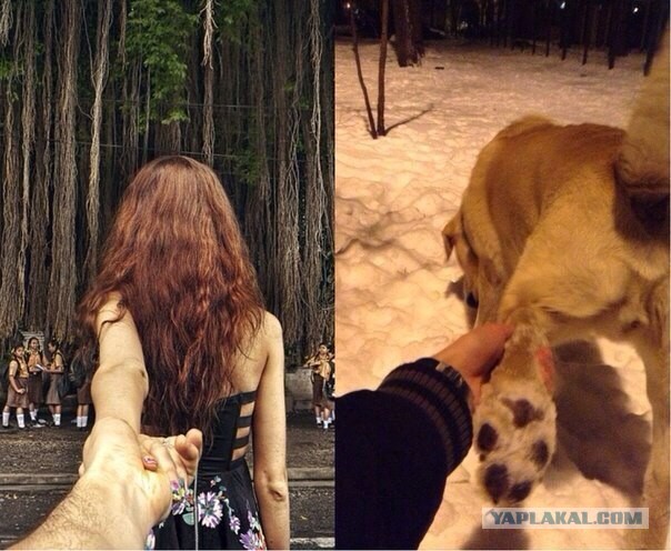 Весёлые картинки. Разбавим будни