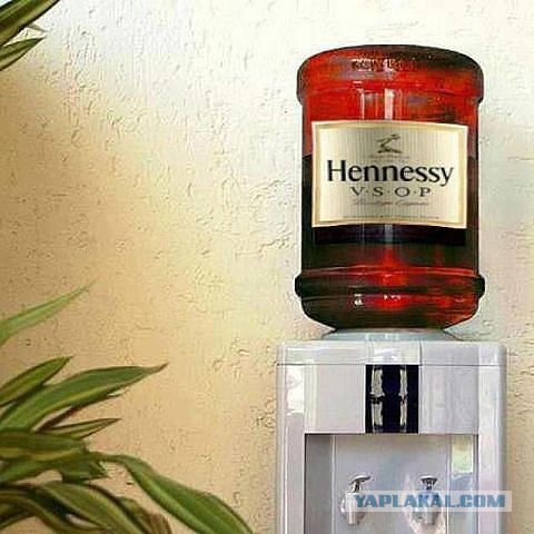 Весёлые картинки. Разбавим будни