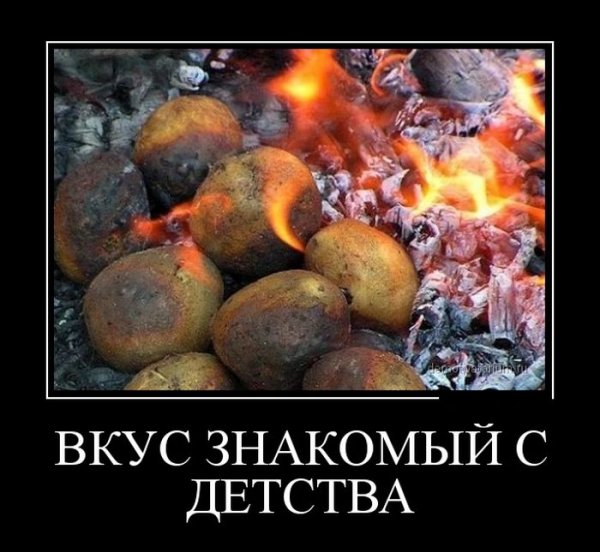 Демотиваторы дня
