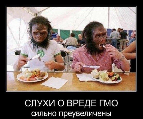 ГМО. Головной Мозг Отсутствует.