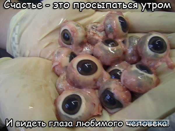 Черный юмор из социальных сетей