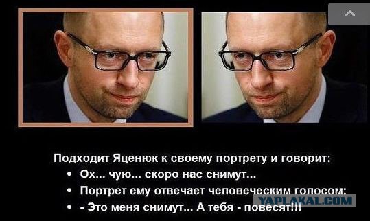 Прикольные картинки о яценюке