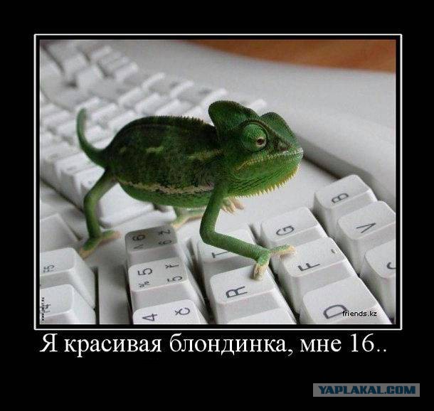Плюшкиным посвящается