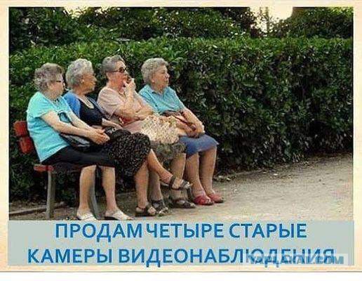 Забавные картинки из Сети