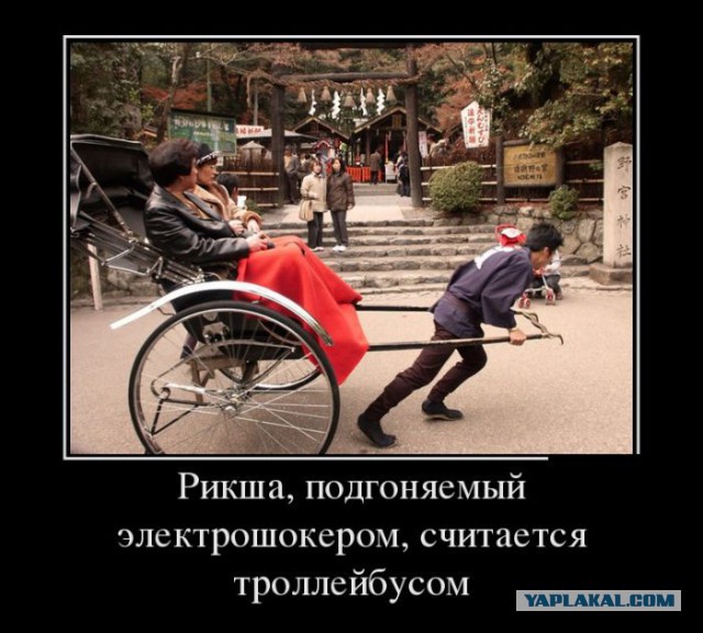 Просто 30 картинок из тырнета