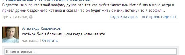 Смешные комментарии из социальных сетей 17.06.2016